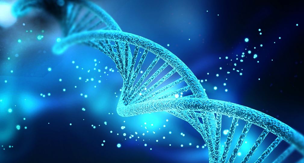 Ka nisur projekti për krijimin artificial të ADN-së njerëzore