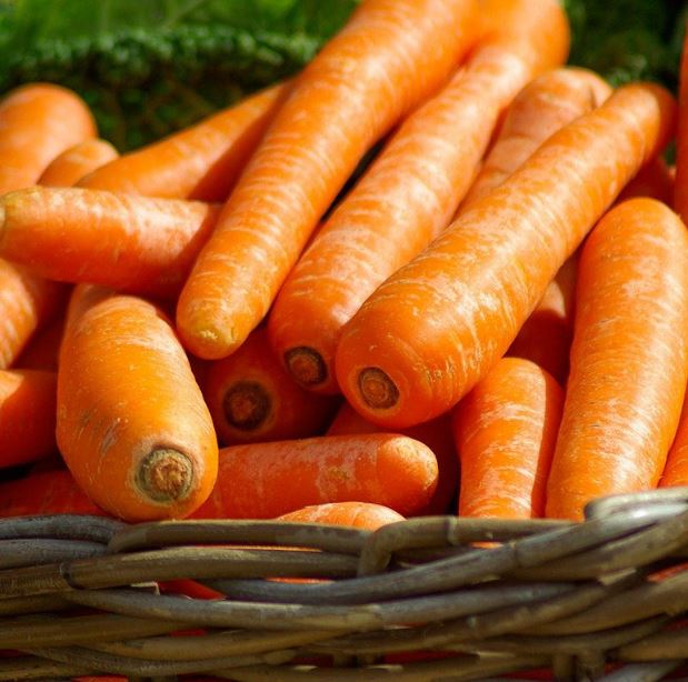 Benefitet e panjohura të karrotës
