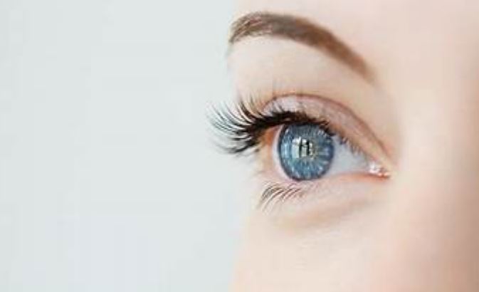 3 fakte interesante rreth syve