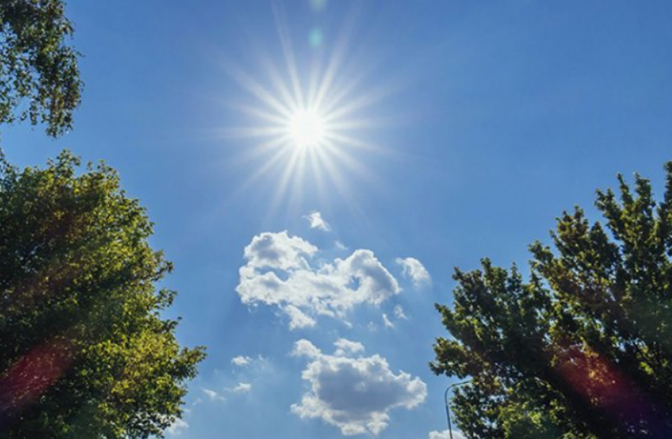 6ED34D14-97EA-40C0-9F38-5436B347C8C4