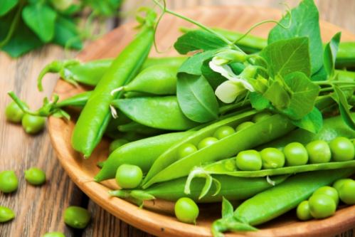 3 vlerat më të mira të bizeleve