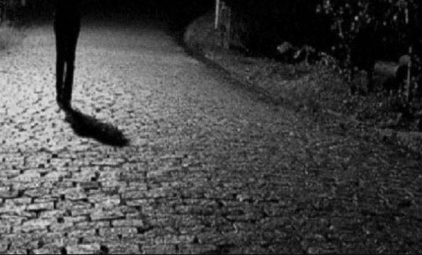 Gjyshi raporton zhdukjen e nipit të mitur në Arllat 