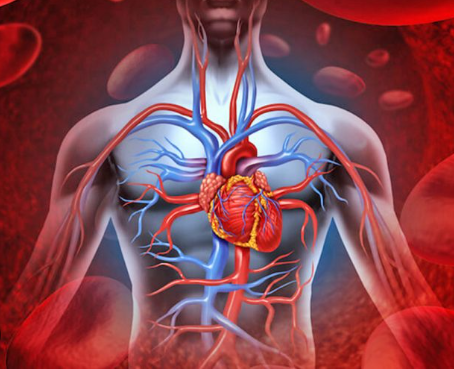 Ushqimet që ulin nivelin e sheqerit në gjak