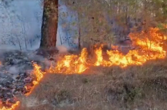 Rreth 300 raste zjarresh në 5 ditët e fundit në Kosovë