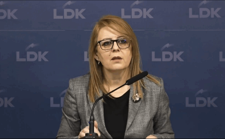 Hykmete Bajrami: Shkyçja e bizneseve përsekutim në favor të mafias energjetike