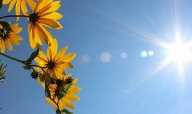 Moti në  Kosovës, temperatura maksimale 36°C