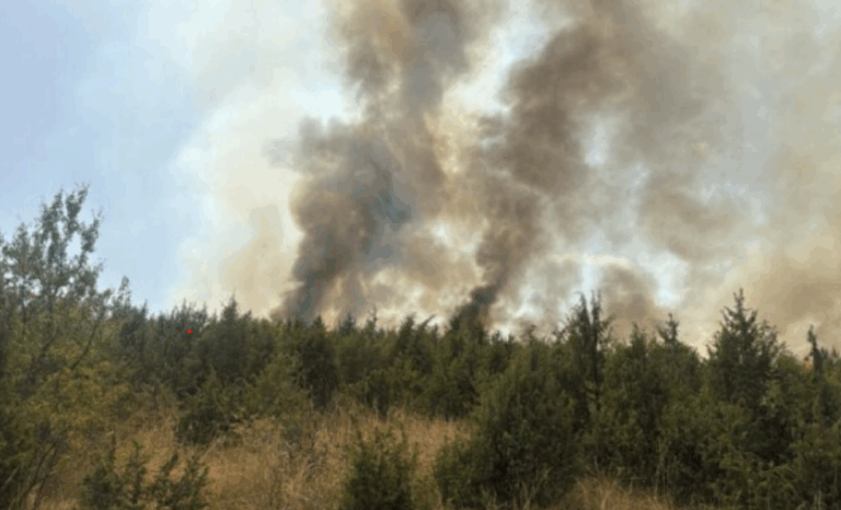 AME: Janë regjistruar 37 vatra zjarri në Kosovë, 22 mbeten aktive