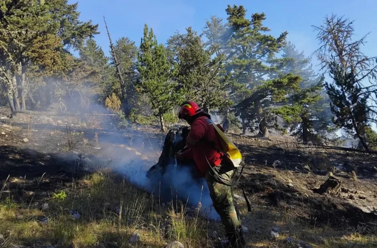 Zjarret në Shqipëri- Policia monitoron më dronë