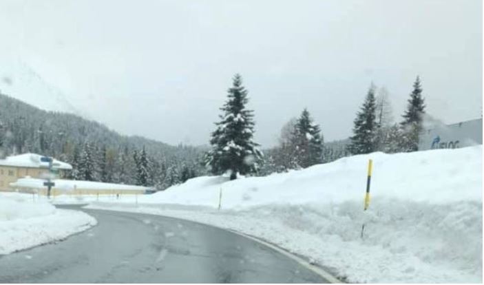 Zvicra mbulohet nga bora