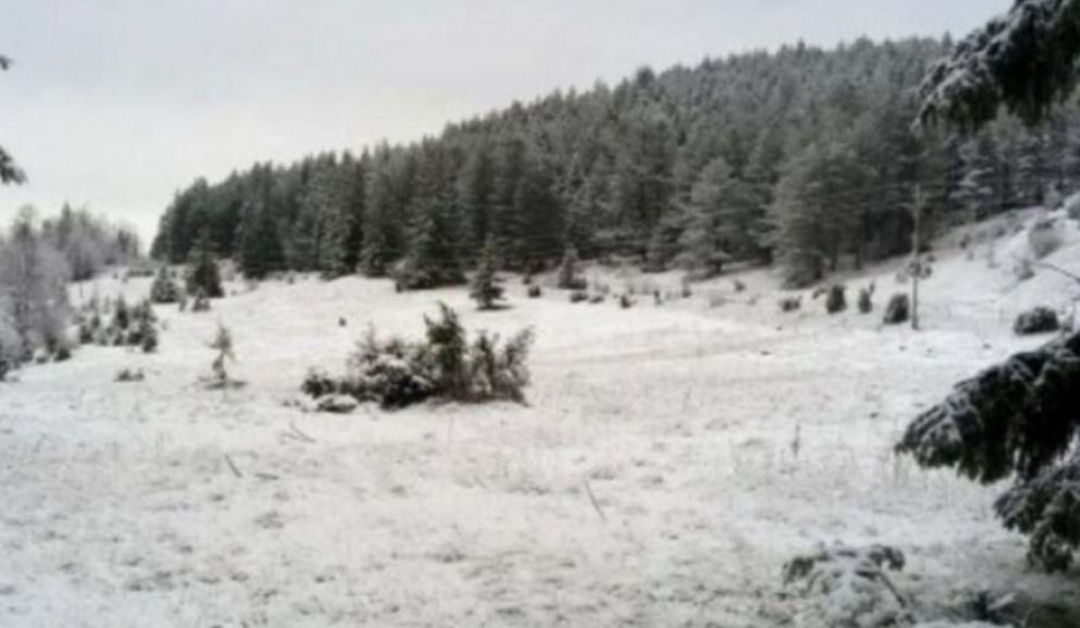 Bie borë në Slloveni