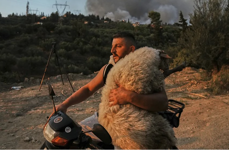 Një shqiptar në mesin e 12 fotove më ikonike të vitit 2025, sipas BBC-së