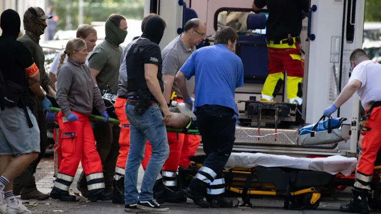 17-vjeçari nga Kosova që theri me thikë mësuesen e tij