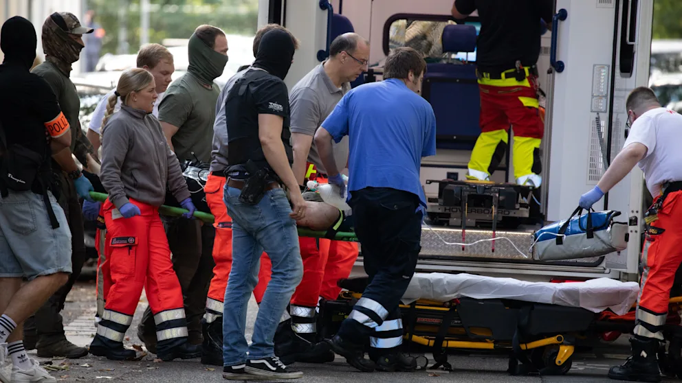 17-vjeçari nga Kosova që theri me thikë mësuesen e tij