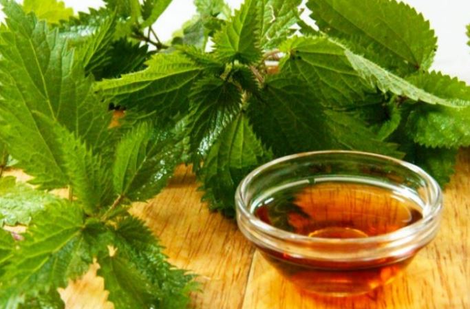 3 Trajtimet natyrale me vajin e hithrës