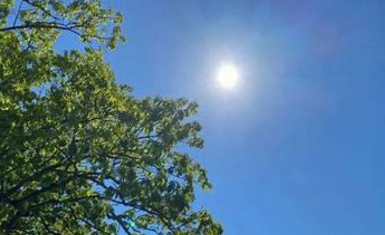 Mot kryesisht me diell