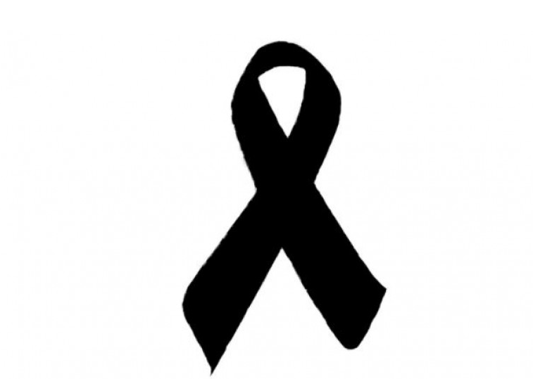 Shtatë jetë të humbura për shtatë ditë