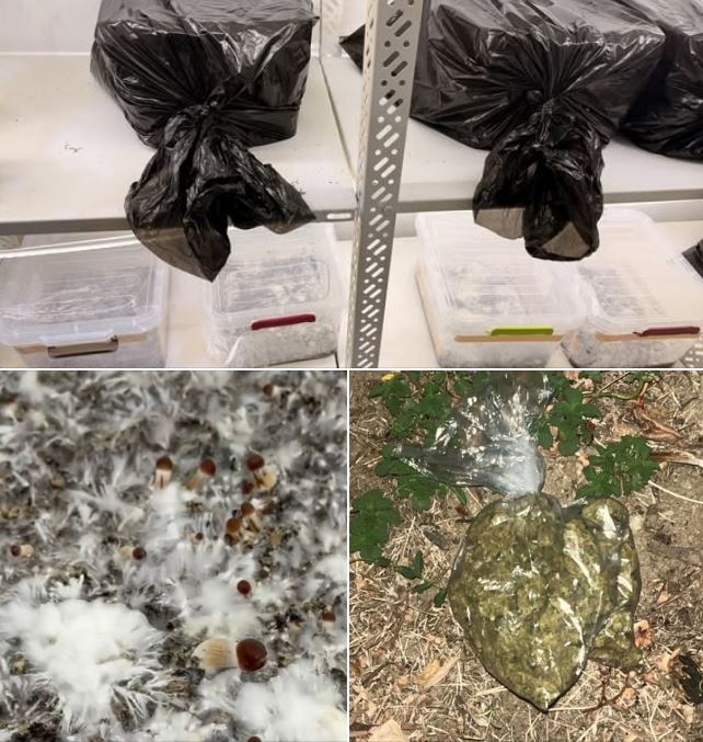 Policia në Prishtinë konfiskon lëndë narkotike