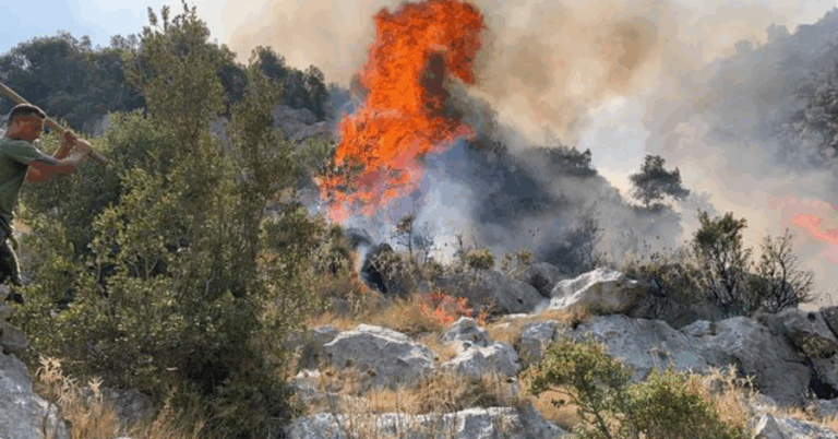 Shqipëria shpërblen punonjësit e angazhuar në luftën kundër zjarreve