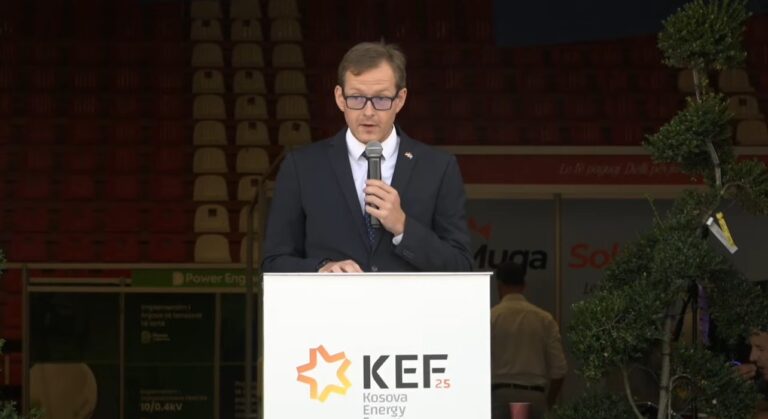 Gjermania kritikon politikën kosovare, bën thirrje për krijimin e institucioneve dhe respektimin Kushtetutës