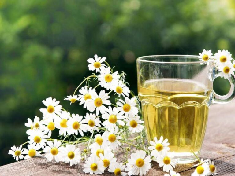 Çajrat që ju ndihmojnë në ditët e vjeshtës