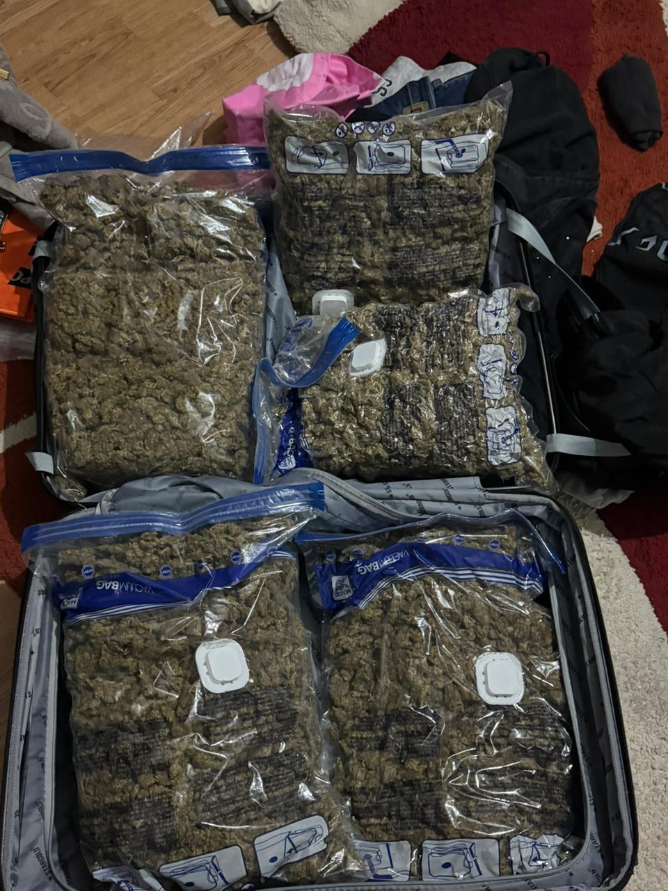 Arrestohet një person në Gjakovë, kapet me mbi 5 kg marihuanë në shtëpi