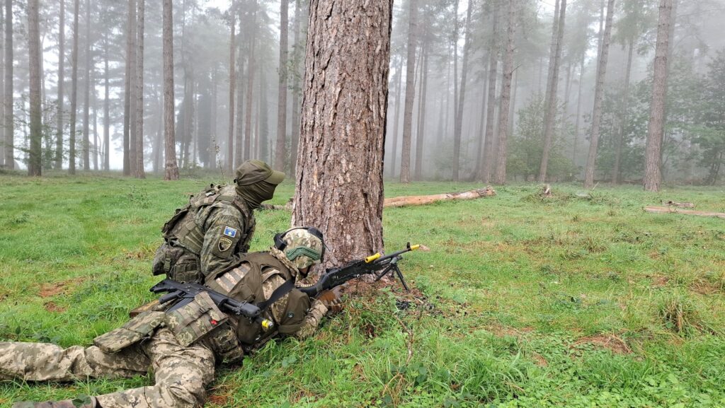 FSK e ndërveprueshme me partnerët në Operacionin Interflex