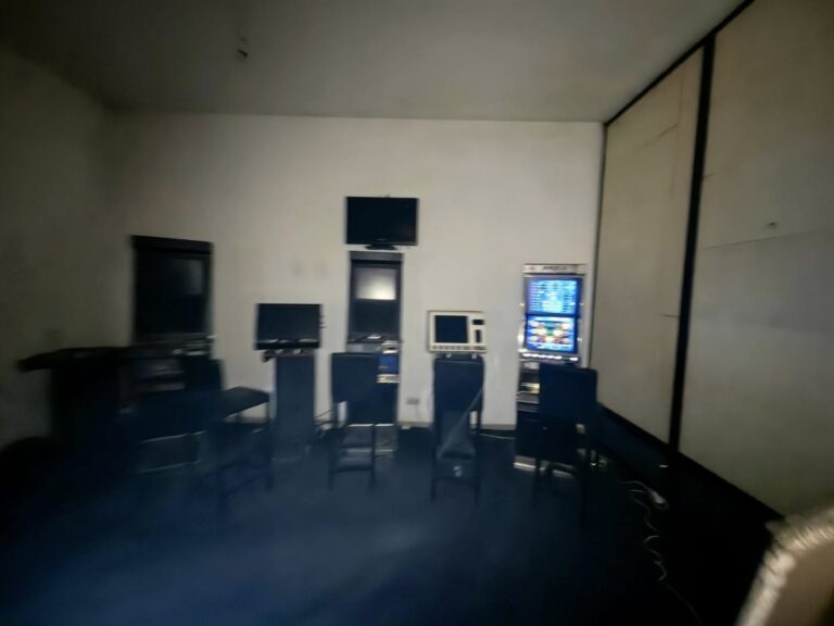 Organizim i skemave piramidale dhe bixhozit të paligjshëm