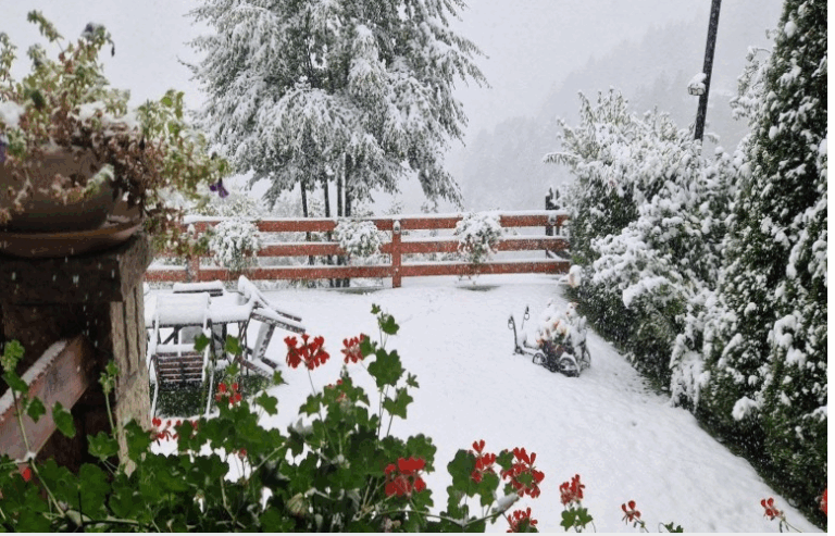 IHMK: Reshjet e hershme të borës me efekt në bujqësi