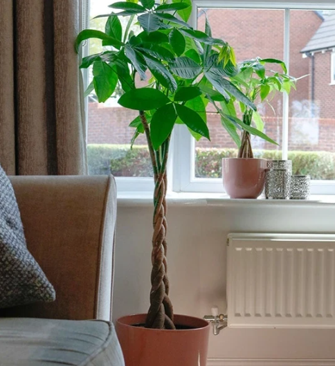 Natyrë, ngrohtësi dhe harmoni në stinën e ftohtë