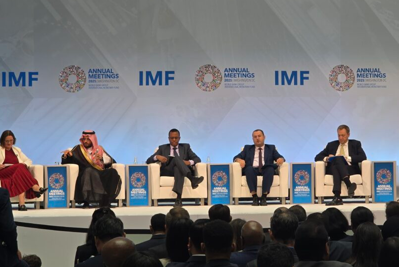 Guvernatori Ismaili merr pjesë në panelin e FMN-së për qëndrueshmëri financiare