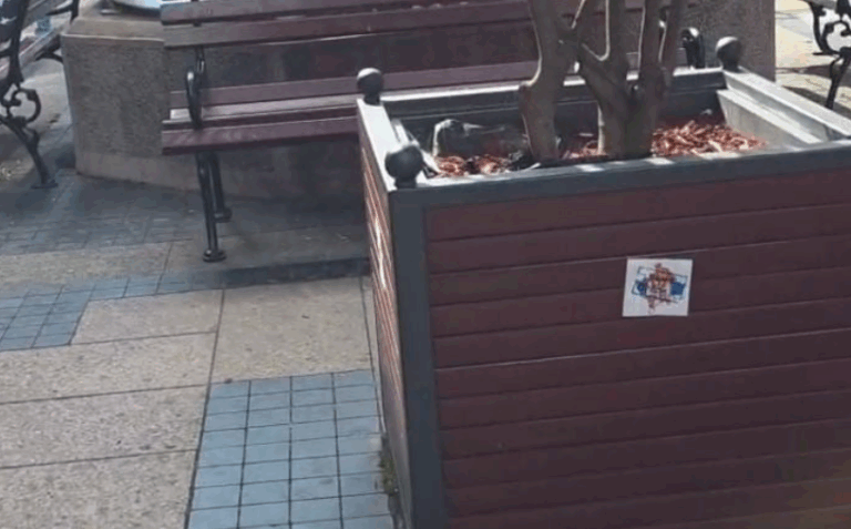 Serbët nuk “ngopen” me provokime, vendosin hartën e Kosovës me flamurin e Serbisë në qytetin ku ndodhet hoteli i Kombëtares shqiptare