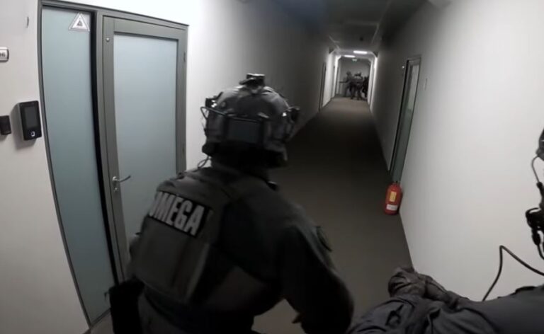 Europol godet organizatën e krimit kibernetik