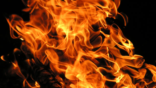 Digjet shtalla me ushqim bagëtish dhe motokultivator 20 mijë euro në Rahovec