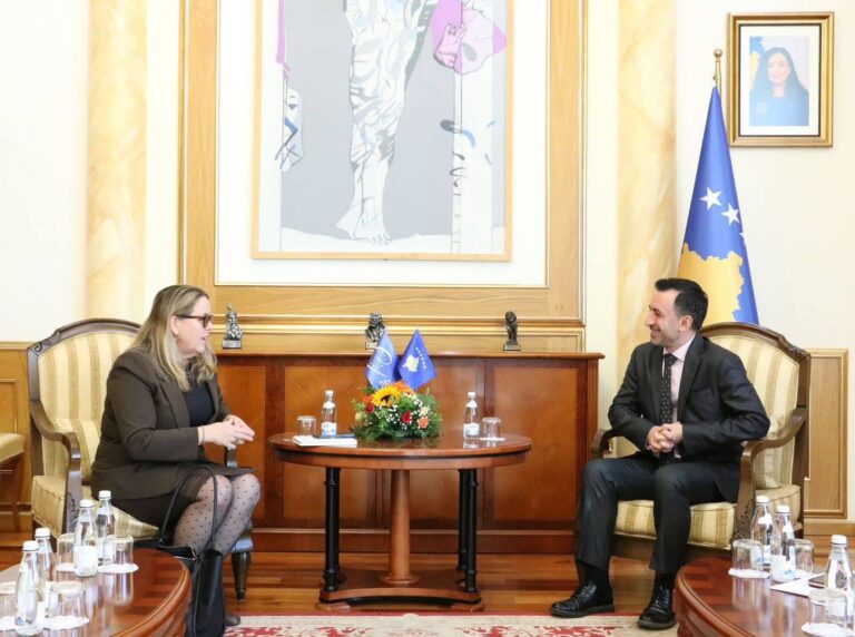 Kryetari Basha priti në takim Shefen e Zyrës së Këshillit të Evropës në Kosovë, Mary Ann Hennessey