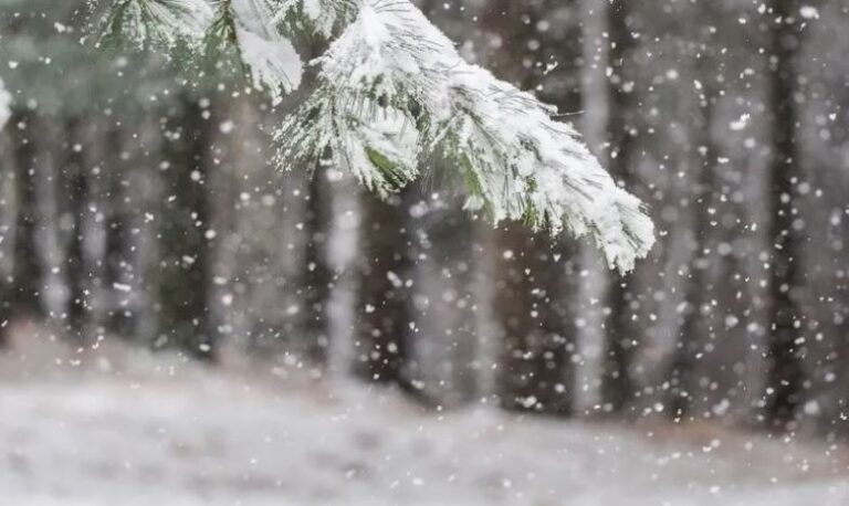 Acari siberian dhe cikloni mesdhetar sjellin reshje të dendura shiu e bore