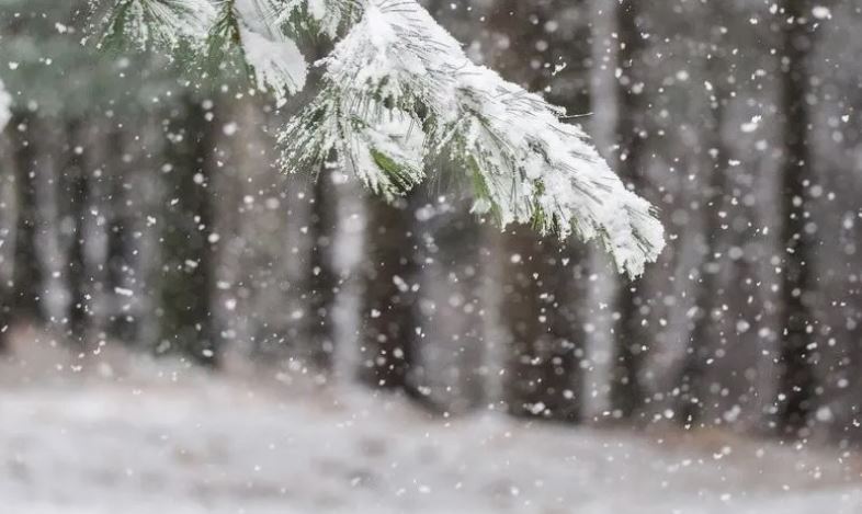Acari siberian dhe cikloni mesdhetar sjellin reshje të dendura shiu e bore