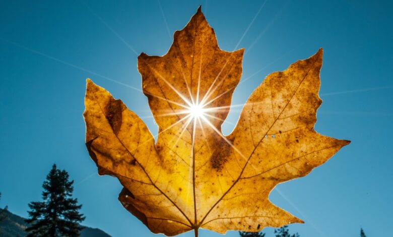 Parashikohet mot me diell