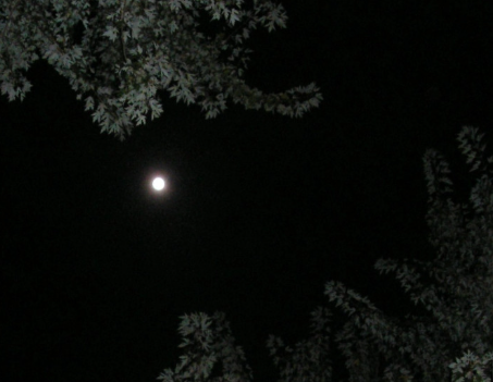 Këshilla për t’u përshtatur me ditët më të shkurtra dhe mungesën e dritës