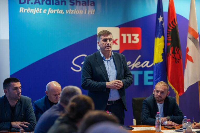 LDK publikon agjendën për procesin e votimit