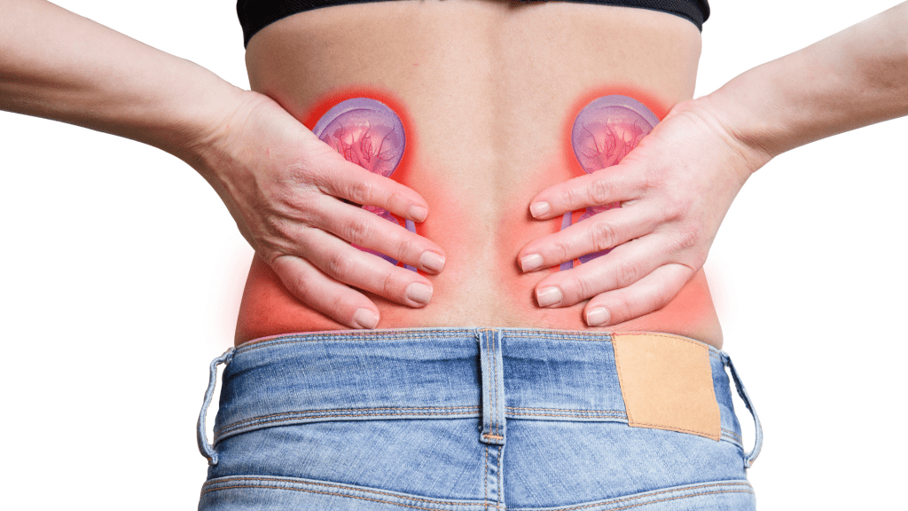 Pija që ju shpëton nga gurët në veshka