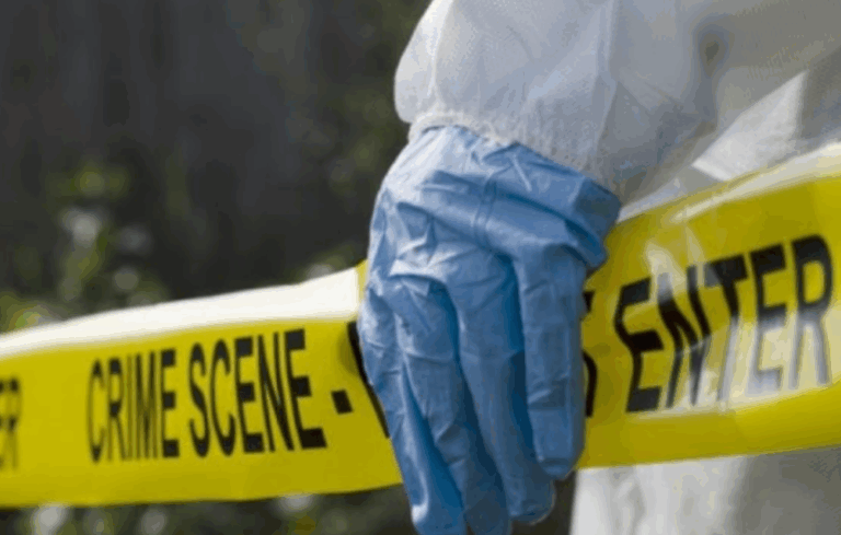 Vdes një person pas plagosjes në Drenas