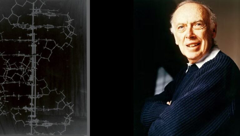 Vdes në moshën 97-vjeçare James Watson, shkencëtari që zbuloi ADN dhe deshifroi kodin e jetës