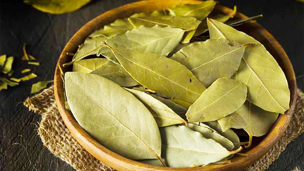 Si t’i përdorni gjethet e Dafinës për gripin dhe të ftohurën