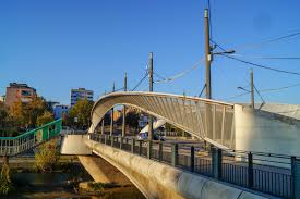 Arrestohet një i dyshuar për vrasje të rëndë në tentativë ndaj birit të tij