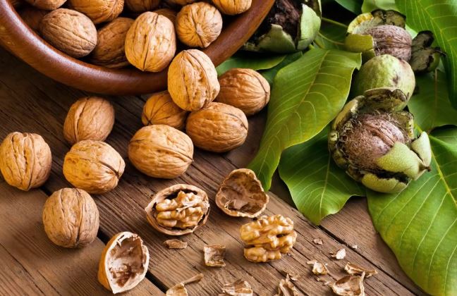 Konsumi i arrave lidhet me ulje të simptomave të depresionit