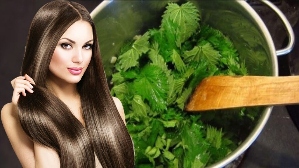 Hithra – ilaçi natyral kundër rënies së flokëve dhe për rritjen e tyre