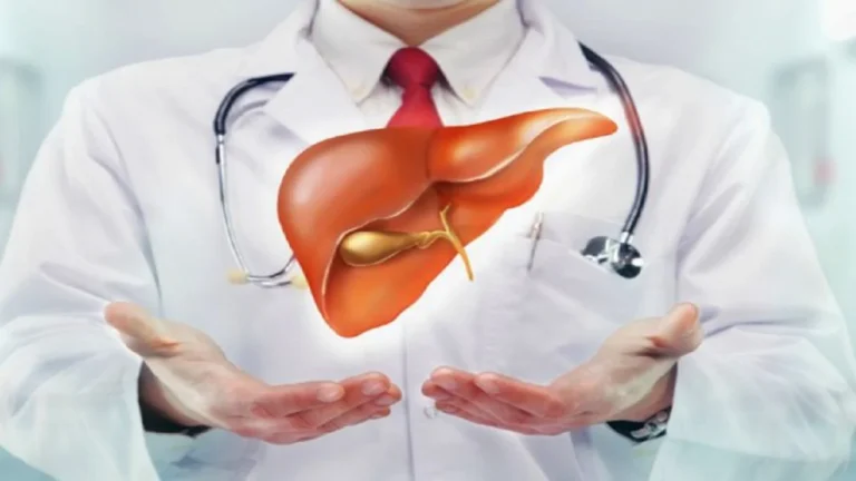 Produktet dhe zakonet që dëmtojnë mëlçinë: Nga sheqeri te alkooli