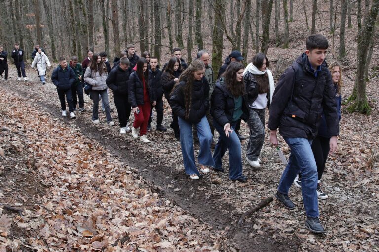 Angazhimi i të rinjve, mbrojtja e pyjeve të Kosovës