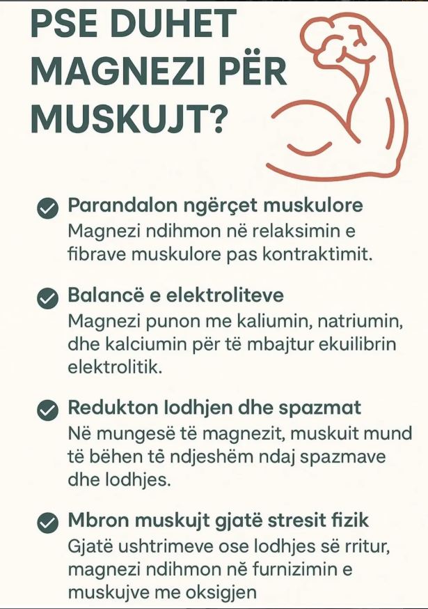 Pse është i rëndësishëm magnezi për muskujt?