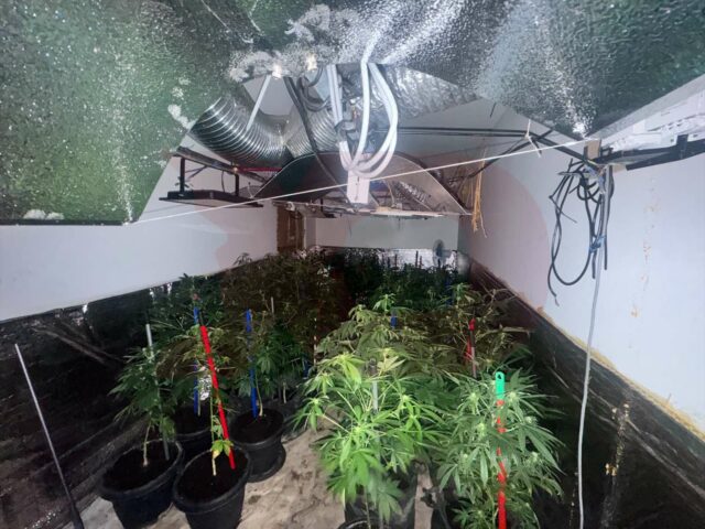 Aktakuzë kundër nëntë personave për laboratorin e drogës në Prizren